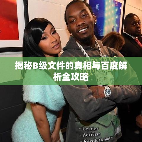 揭秘B级文件的真相与百度解析全攻略