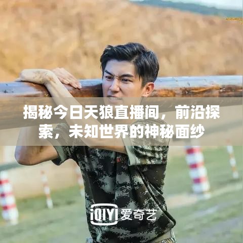 揭秘今日天狼直播间，前沿探索，未知世界的神秘面纱