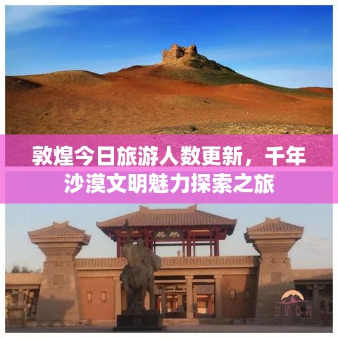 敦煌今日旅游人数更新，千年沙漠文明魅力探索之旅
