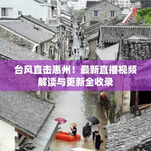 台风直击惠州！最新直播视频解读与更新全收录