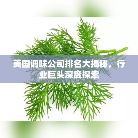 美国调味公司排名大揭秘，行业巨头深度探索