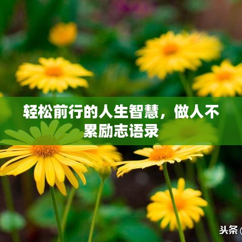 轻松前行的人生智慧，做人不累励志语录