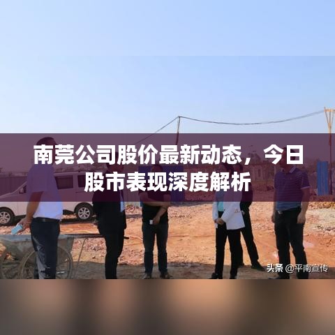 南莞公司股价最新动态，今日股市表现深度解析