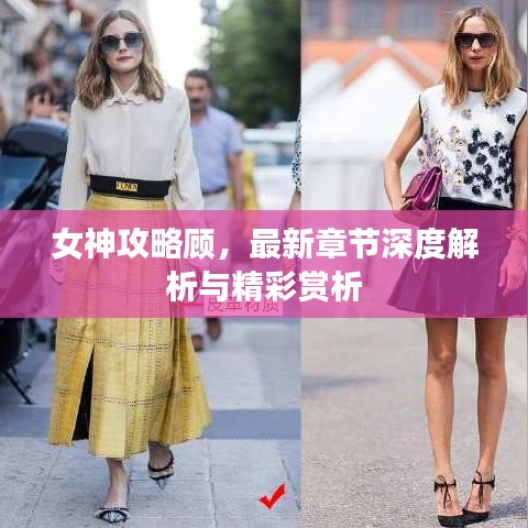 女神攻略顾，最新章节深度解析与精彩赏析