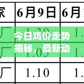 今日鸡价走势揭秘，最新动态、市场分析以及趋势预测