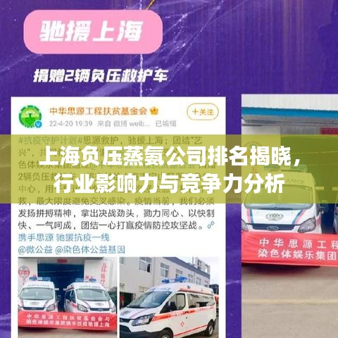 上海负压蒸氨公司排名揭晓，行业影响力与竞争力分析