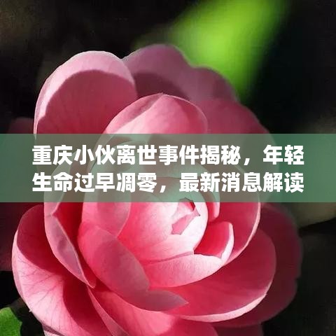 重庆小伙离世事件揭秘，年轻生命过早凋零，最新消息解读