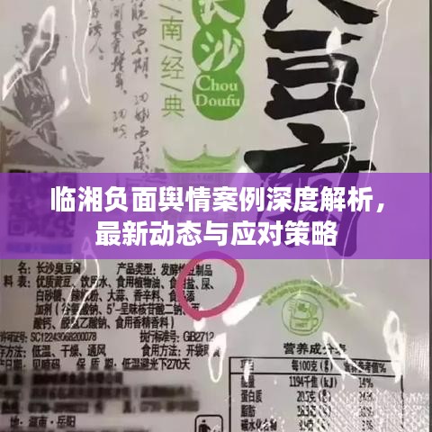 临湘负面舆情案例深度解析，最新动态与应对策略