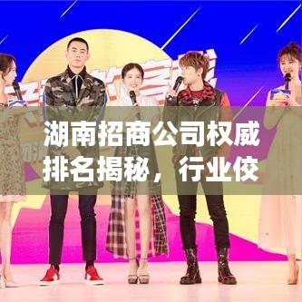 湖南招商公司权威排名揭秘，行业佼佼者深度解析