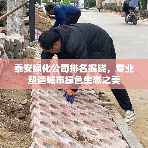 泰安绿化公司排名揭晓，专业塑造城市绿色生态之美