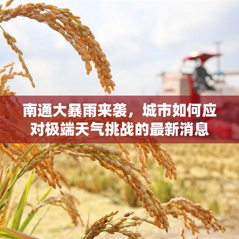 南通大暴雨来袭，城市如何应对极端天气挑战的最新消息