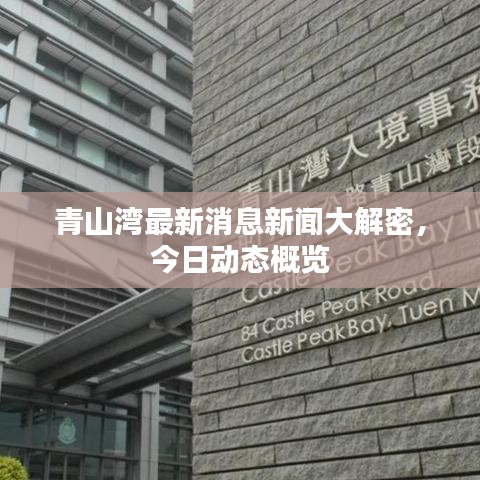 青山湾最新消息新闻大解密，今日动态概览