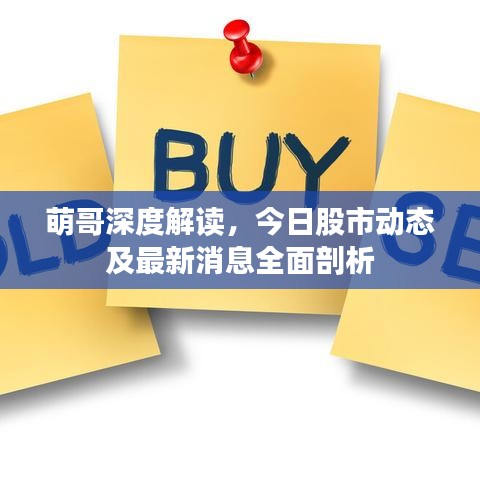 萌哥深度解读，今日股市动态及最新消息全面剖析