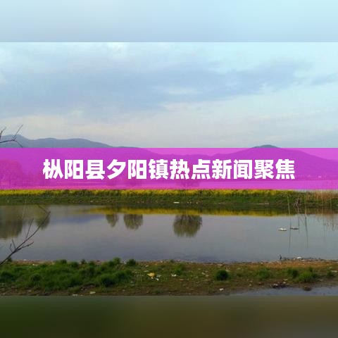 枞阳县夕阳镇热点新闻聚焦