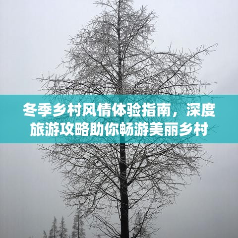 冬季乡村风情体验指南，深度旅游攻略助你畅游美丽乡村