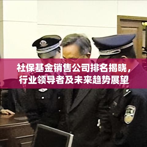 社保基金销售公司排名揭晓，行业领导者及未来趋势展望