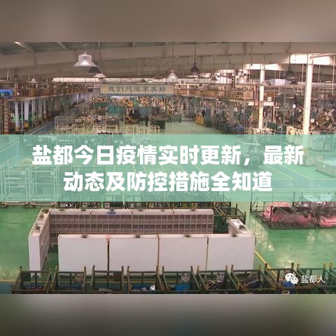 盐都今日疫情实时更新，最新动态及防控措施全知道
