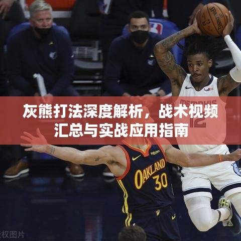 灰熊打法深度解析，战术视频汇总与实战应用指南