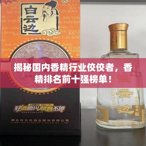 2025年5月 第360页