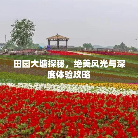 田园大塘探秘，绝美风光与深度体验攻略