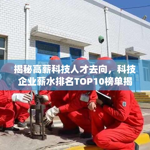 揭秘高薪科技人才去向，科技企业薪水排名TOP10榜单揭晓！