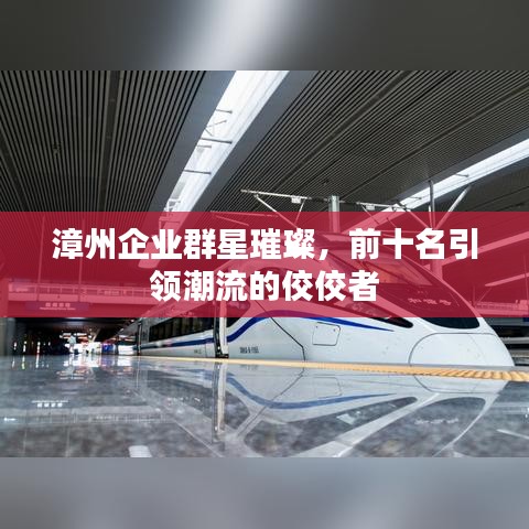 漳州企业群星璀璨，前十名引领潮流的佼佼者