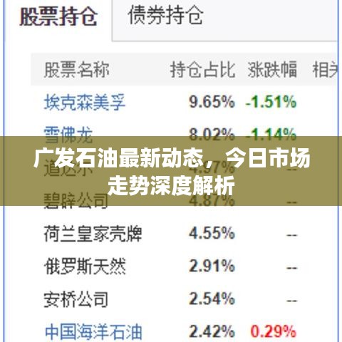 广发石油最新动态，今日市场走势深度解析