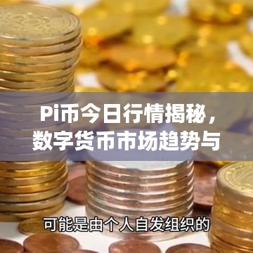 Pi币今日行情揭秘，数字货币市场趋势与最新价格探索