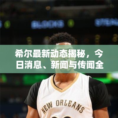 希尔最新动态揭秘，今日消息、新闻与传闻全掌握