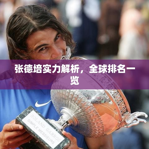 张德培实力解析，全球排名一览