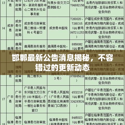 邯郸最新公告消息揭秘，不容错过的更新动态