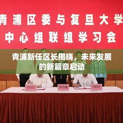 青浦新任区长揭晓，未来发展的新篇章启动