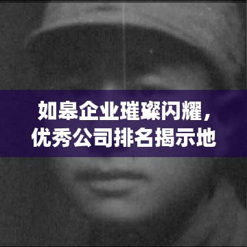 如皋企业璀璨闪耀，优秀公司排名揭示地方发展辉煌成就