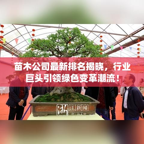 苗木公司最新排名揭晓，行业巨头引领绿色变革潮流！