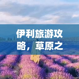 伊利旅游攻略，草原之美深度探索