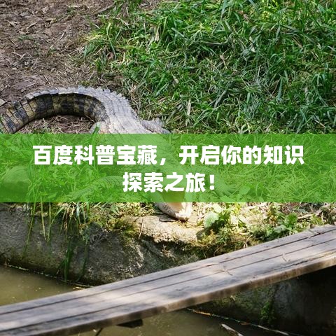 百度科普宝藏，开启你的知识探索之旅！