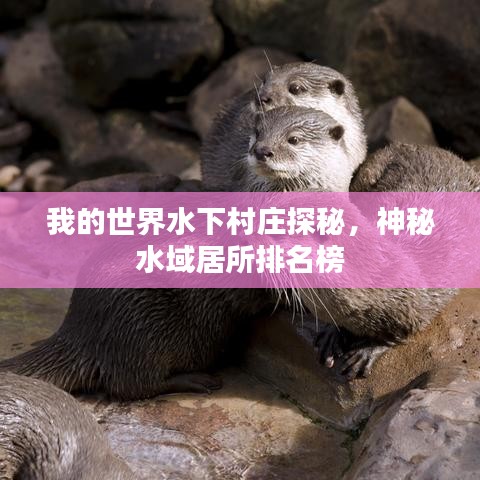 我的世界水下村庄探秘，神秘水域居所排名榜