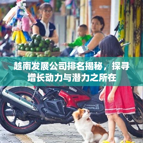 越南发展公司排名揭秘，探寻增长动力与潜力之所在