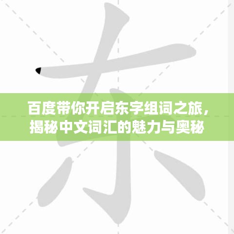百度带你开启东字组词之旅，揭秘中文词汇的魅力与奥秘
