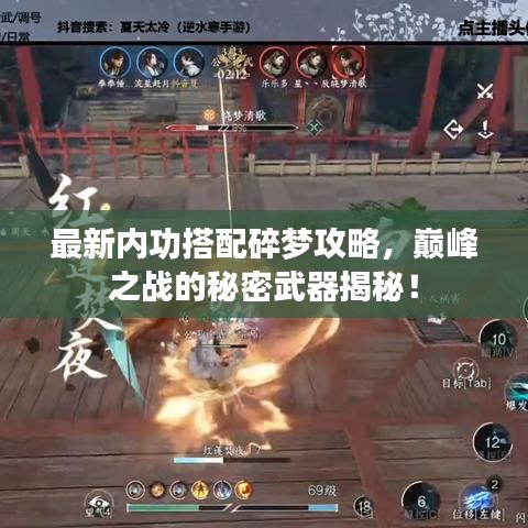 最新内功搭配碎梦攻略，巅峰之战的秘密武器揭秘！