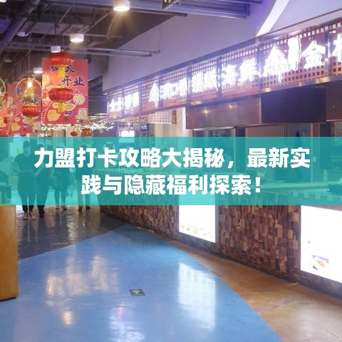 力盟打卡攻略大揭秘，最新实践与隐藏福利探索！