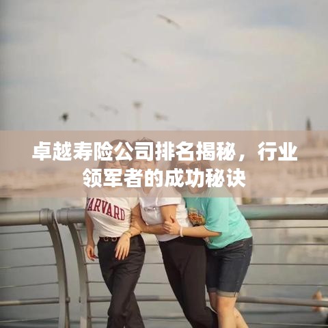 卓越寿险公司排名揭秘，行业领军者的成功秘诀