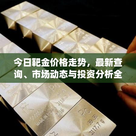 今日靶金价格走势，最新查询、市场动态与投资分析全解析