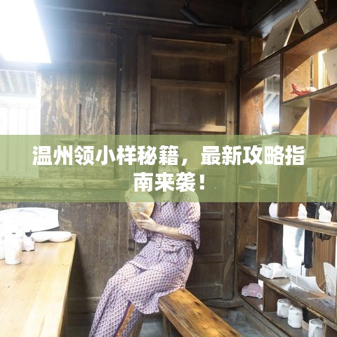 温州领小样秘籍，最新攻略指南来袭！