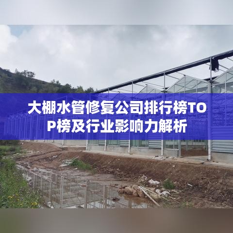 大棚水管修复公司排行榜TOP榜及行业影响力解析
