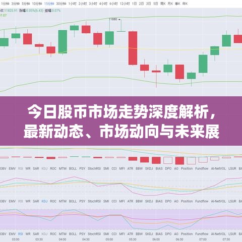 今日股币市场走势深度解析，最新动态、市场动向与未来展望