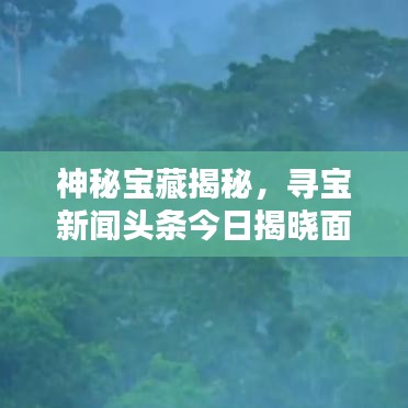 神秘宝藏揭秘，寻宝新闻头条今日揭晓面纱！