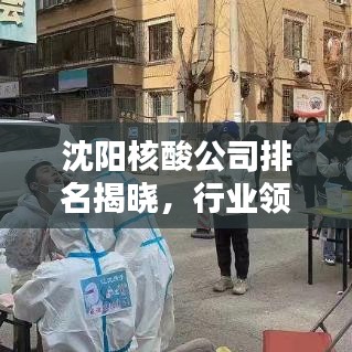 沈阳核酸公司排名揭晓，行业领军者的探索之路