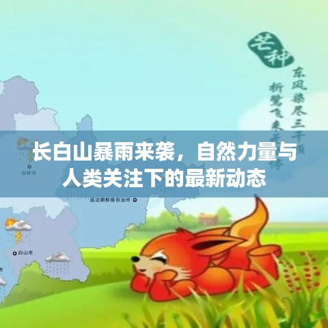 长白山暴雨来袭，自然力量与人类关注下的最新动态