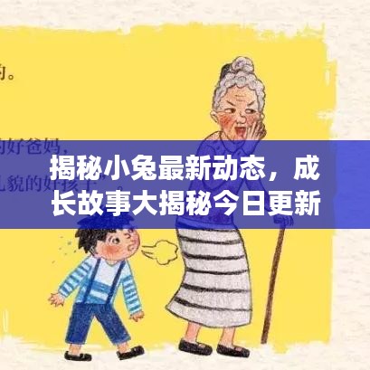 揭秘小兔最新动态，成长故事大揭秘今日更新消息！